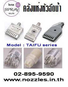 TAIFU Series