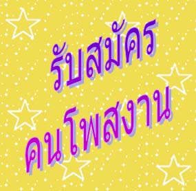 ทำงานพิเศษ เพิ่มรายได้