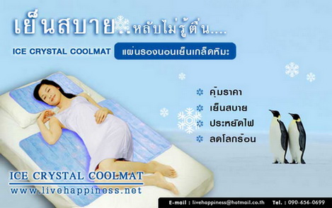 แผ่นรองนอนเย็น ICE