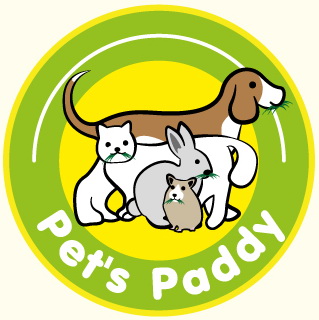 ก้อนปลูกข้าวสาลีPets Paddyราคา1บาทถูกกว่านี้ไม่มีอีกแล้ว