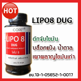 lypo 8ผ่านการรับรองของ