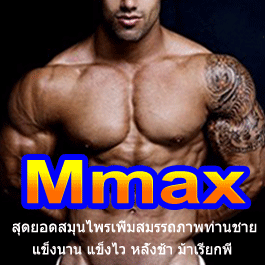 mmax-สมุนไพรผู้ชาย-ช่วยให้แข็งตัว-แข็งตัวดี-อึดทน-ช่วยฺชะลอก