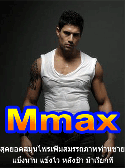 mmax-เพื่อผู้ชาย-แข็งตัวไว-แข็งตัวดี-อึดและทน-ชะลอการหลั่งได