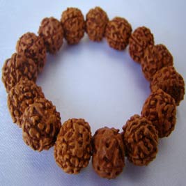 รุทรักษะ-น้ำตาพระศิวะ-rudraksha