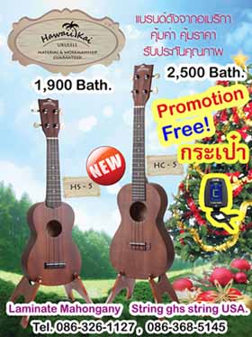 ร้านขายกีต้าร์-ukulele--อูคูเลเล่--ราคาถูก-แบรนด์ดังจากฮาว