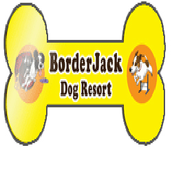 border-jack-dog-resort
