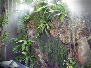 รับจัดสวนแนวตั้ง-vertical-garden--แบบติดผนัง-green-wall-