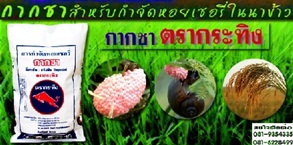 กากชาสำหรับกำจัดแมลงในสนามกอล์ฟ ปลอดภัยต่อผู้เล่น