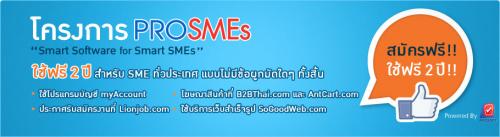 โครงการ-prosmes--quot;smart-software--for-smart-smes-โปรแกรม