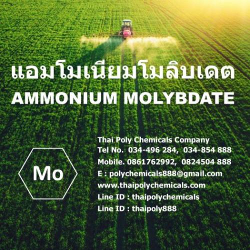 แอมโมเนียมโมลิบเดต--ammonium-molybdate--ผงจุลธาตุโมลิบดินัม-