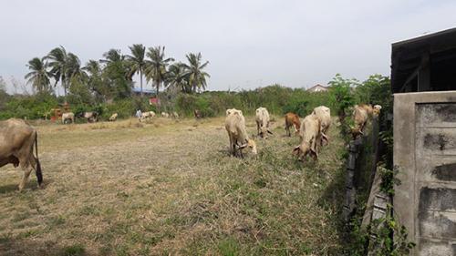 3.24-งาน-อยู่ตรงข้ามวัดป่าเลย์ไล-