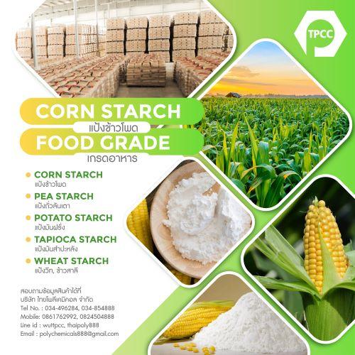 แป้งข้าวโพด--corn-starch--คอร์นสตาร์ช--สตาร์ชข้าวโพด--native