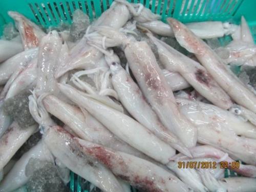 seafood-import-from-india