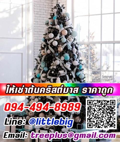 ให้เช่าต้นคริสต์มาส-