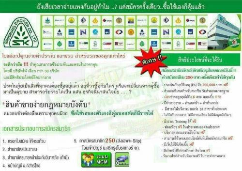 ประกันภัยรถยนต์ราคาทุน