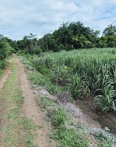 ที่ดิน-ตำบลสระกรวด-อำเภอศรีเทพ-จังหวัดเพชรบูรณ์-พื้นที่-9-ไร