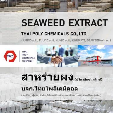 สาหร่ายผง--ผงสาหร่าย--seaweed-extract-powder---สาหร่ายสกัด--