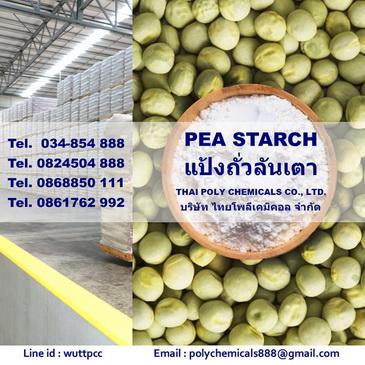 แป้งถั่วลันเตา--pea-starch--จำหน่ายแป้งถั่วลันเตา--นำเข้าแป้