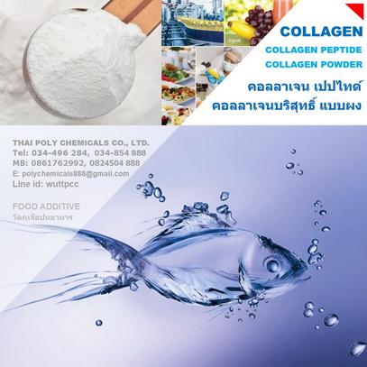 คอลลาเจน-เปปไทด์--collagen-peptide--collagen-powder