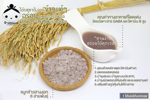 จมูกข้าวฮางงอก-6-สายพันธุ์-จมูกข้าวที่มีคุณค่าทางอาหาร