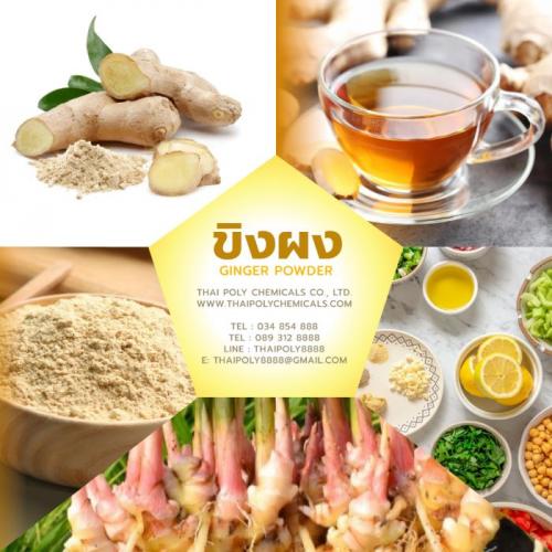 ขิงผง--ginger-powder--ขิงผงไทยแลนด์--thailand-ginger--ผงขิง-