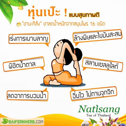 ชานะทิสัง-ชาลดน้ำหนัก-ชาดีท็อกซ์จากสมุนไพร-16-ชนิด-ผอมไว-ปลอ