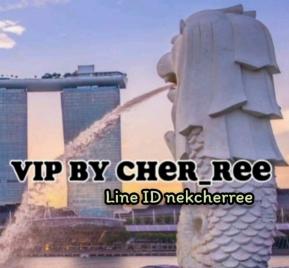 -vipสิงคโปร์-บินฟรี