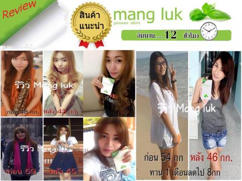 mang-luk--ช่วยในการเผาผลาญไขมัน-