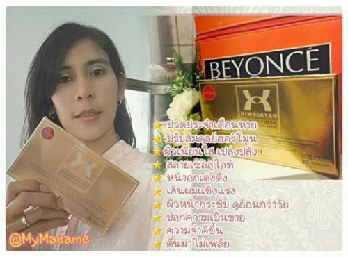 himalayan-novacs-cordy-by-beyonce-หิมาลายัน-บียอนเซ่