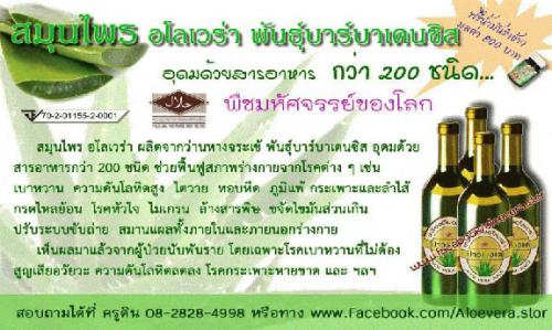 อโลเวร่า-ปาวองเต้-อาหารเสริมที่มีรับรองจากองค์การอาหารและยา-