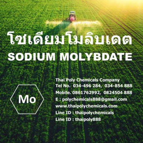 โซเดียมโมลิบเดต--sodium-molybdate--ผงจุลธาตุโมลิบดินัม--โซเด