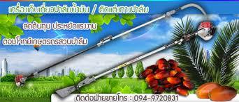 เครื่องมือมีดเสียม-เคียวแทงเก็บเกี่ยวตัดปาล์มน้ำมันอัตโนมัติ