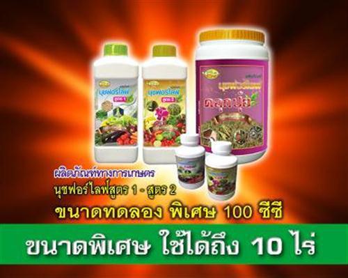 ผลิตภัณฑ์เกษตร-นุชฟอร์ไลฟ์สูตร-1-ชุดทดลอง