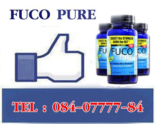 fuco-pure-บอกลาปัญหาน้ำหนักเยอะ-