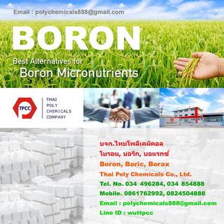 โบรอน- boron- ปุ๋ยโบรอน--actibor--etidot--fertibor--solubor