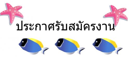 เจ้าหน้าที่ประจำออฟฟิต-2-อัตรา