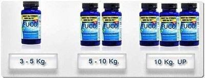 ฟูโกะเพียว-fuco-pure-เรียวเล็กจริง