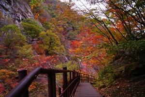 seoraksan-autumn-korea