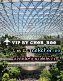 -วีไอพีสิงค์โปร์-บินฟรี